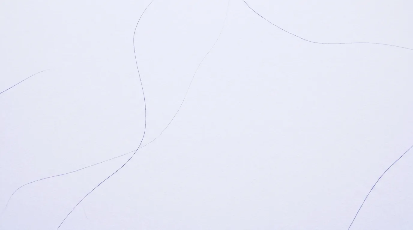 Tangle Paper pole atmosphere